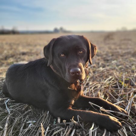 226b32b0-cabe-46ae-bc90-8da7c7f57bc3 Kopie