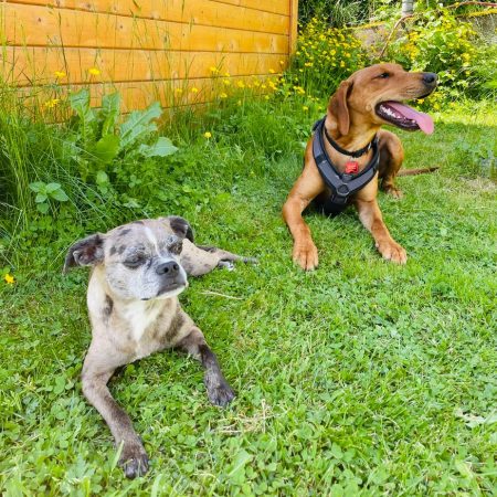 324a6ccf-c7cc-4c83-9079-a38e035a3ea6 Kopie