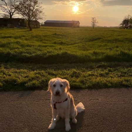 PHOTO-2023-05-29-12-10-16