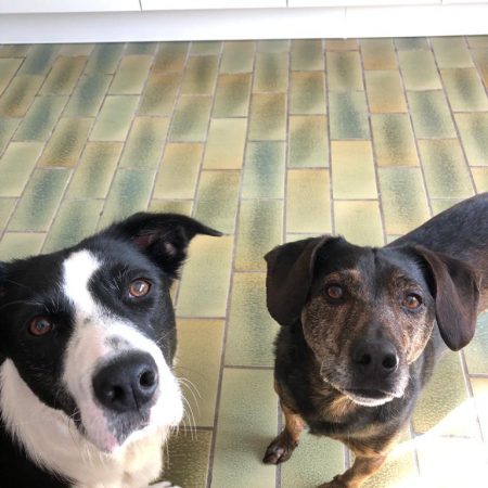 ddcddbca-3e73-4469-9dd4-5f9cfd7f07b2 Kopie