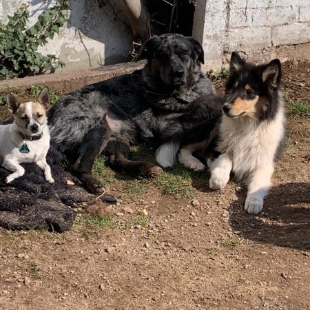 f09439a0-3c9b-4f18-a2ba-e44d5987eff0